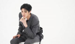 一周的偶像2015 一周的偶像2015