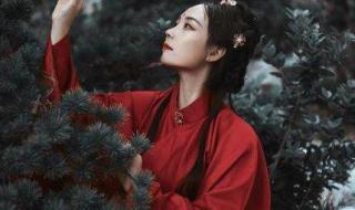 我是人间惆怅客 我是人间惆怅客