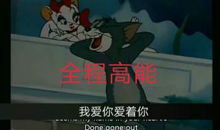 猫和老鼠消失的22集