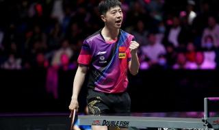 wtt新乡总决赛赛程