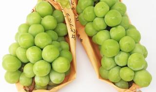 阳光玫瑰葡萄降价 阳光玫瑰葡萄降价