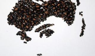 一键生成国旗头像