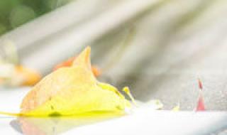 非主流女生闪图头像