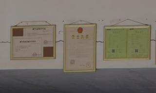 2013年营业执照年检 2013年营业执照年检