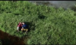 小黄狗的窝 小黄狗的窝