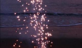 烟花背景图 烟花背景图