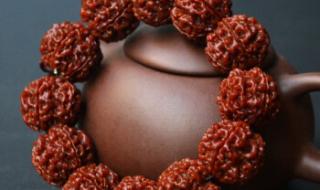 金刚菩提子价格参照 金刚菩提子价格参照