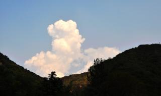 尼康d90配什么镜头