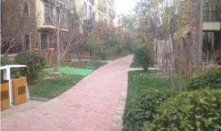 三个龙叠一起念什么字 三个龙叠一起念什么字