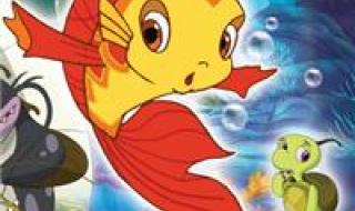 动画片小鲤鱼历险记 动画片小鲤鱼历险记