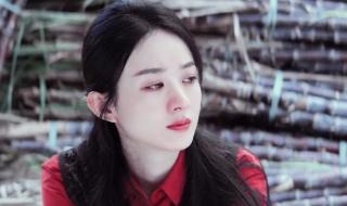 赵丽颖演的雷金玉