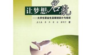 大学生职业生涯设计 大学生职业生涯设计