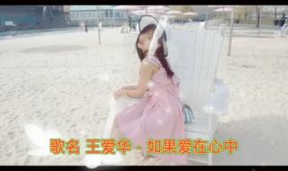 你不爱我我爱你原唱 你不爱我我爱你原唱